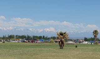 9ª Fecha de Tradicionales desde Junín